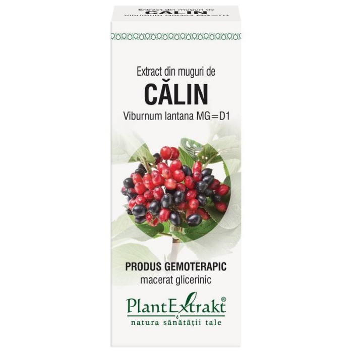 Extract Muguri Calin 50ml PlantExtrakt