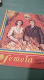 REVISTA FEMEIA NT.1 /1984
