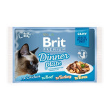 Cumpara ieftin Brit Cat MPK Delicate Dinner plate in Gravy, 4 x 85 g