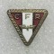 Insigna fotbal PFR Cluj