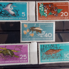 Germania DDR 1959 fauna păsări insecte fluturi serie 5v Nestampilata