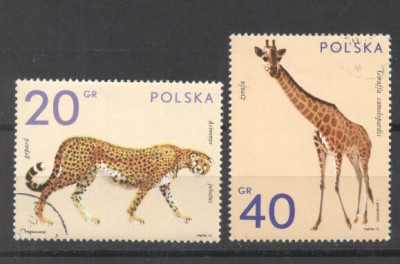 Poland 1972 Birds, wild animals, used G.259 foto