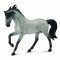 Armasar Murg Andaluz Sur 1:12 Collecta