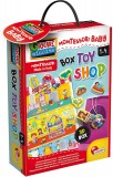 Cutiuta Montessori - Magazinul de jucarii PlayLearn Toys, LISCIANI