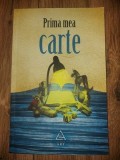 Prima mea carte- Raluca Dinca
