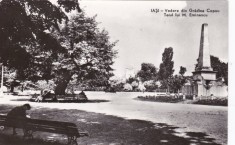 AS - ILUSTRATA 1190, IASI - VEDERE DIN GRADINA COPOU, TEIUL LUI M.EMINESCU, ANUL 1962 foto