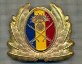 Y 1561 INSIGNA-MILITARA-EMBLEMA COIFURA- TRUPELE DE USCAT -PENTRU COLECTIONARI