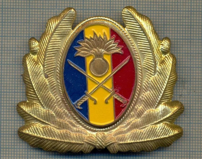 Y 1561 INSIGNA-MILITARA-EMBLEMA COIFURA- TRUPELE DE USCAT -PENTRU COLECTIONARI