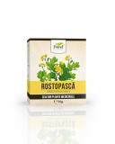 Ceai de Rostopasca, 50g, Dorel Plant