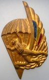 5.064B ROMANIA MEDALIE PARASUTISM PARASUTIST PARASUTISTI