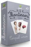 Corpul uman - Amber Books - Gama