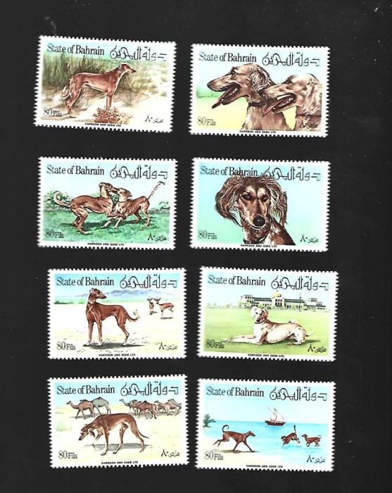 bahrain caini mnh