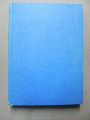 DICTIONAR ENCICLOPEDIC AL LITERATURII ITALIENE de NINA FACON 1982 foto