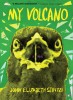 My Volcano, 2016
