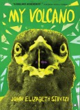 My Volcano, 2016