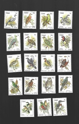 ciskei pasari mnh foto