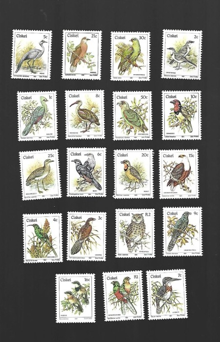 ciskei pasari mnh