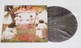 Savoy - Haiducul - disc vinil ( vinyl , LP )