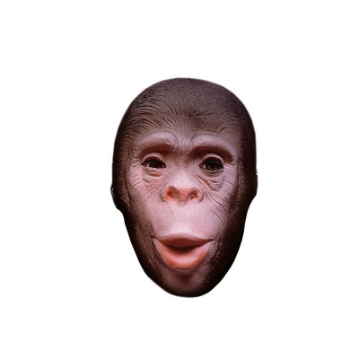 Masca de Om-Gorila foto