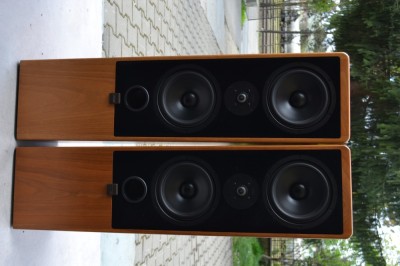 Boxe Canton Ergo 80 DC foto