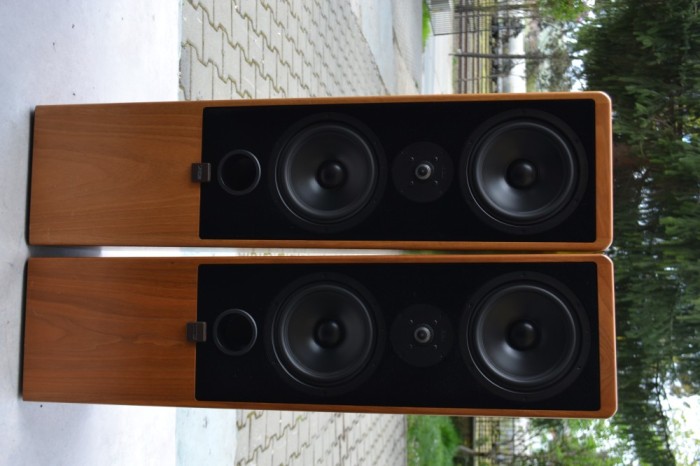 Boxe Canton Ergo 80 DC