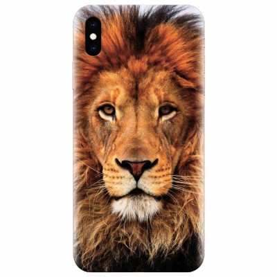 Husa silicon pentru Apple Iphone X, Colorful Lion4 foto