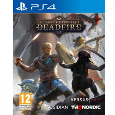 Pillars Of Eternity 2 Deadfire Ps4 foto