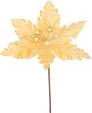 Kvet MagicHome Vianoce, Poinsettia, zlat&Atilde;&iexcl;, 30 cm, ve&Auml;&frac34;kos&Aring;&yen; kvetu: 20,5 cm