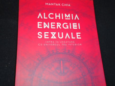 ALCHIMIA ENERGIEI SEXUALE-MANTAK CHIA-TRAD. MIHAELA IVANUS-213 PG A 4- foto