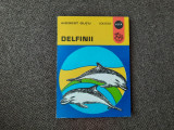 Delfinii - Modest Gutu-RF24/1