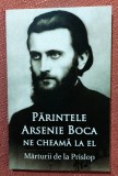 Parintele Arsenie Boca ne cheama la el. Marturii de la Prislop - Ortodoxia, 2014