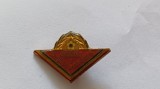 Insigna Romania- Fruntas in munca patriotica-l