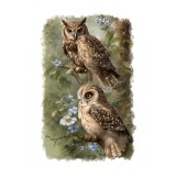 Sticker decorativ, Bufnite, Maro, 85 cm, 6702ST