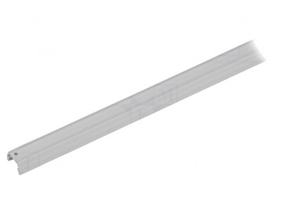 Profi Modul LED Alb Aluminiu 2m foto