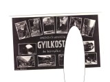 CP Lacul rosu si imprejurimi - mozaic, ocupatia maghiara, circulata 1943, stare foarte buna