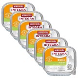 Animonda Integra Protect Cat Nieren rinichi - curcan 6 x 100 g