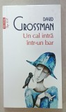 UN CAL INTRA INTR- UN BAR de DAVID GROSSMAN , 2018