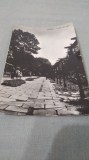 CARTE POSTALA BUZIAS -VEDERE DIN PARC CIRCULATA, Fotografie