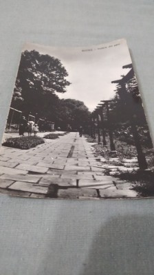 CARTE POSTALA BUZIAS -VEDERE DIN PARC CIRCULATA foto