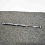 Amortizor capota dreapta față TESLA MODEL 3 2018 OEM: 1091472-00-B 10829038