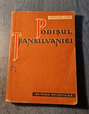 Podisul Transilvaniei Mircea Ilie foto