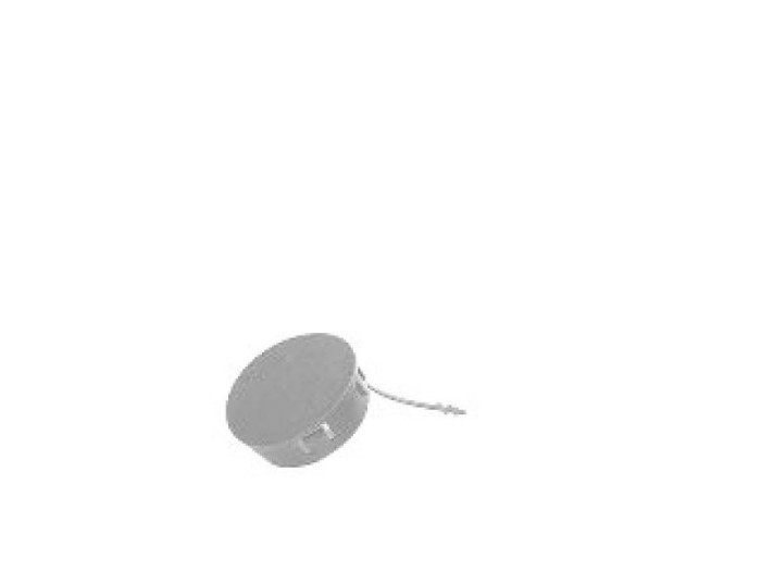 Capac bara carlig remorcare Ford Focus (Daw/Dbw/Dnw/Dfw) 09.1998-11.2001 Fata Grunduit 1107426
