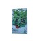 Seminte Menta 55sem