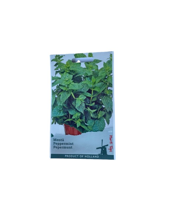 Seminte Menta 55sem