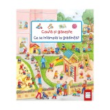 Cumpara ieftin Cauta Si Gaseste - Ce Se Intampla La Gradinita?, Barbara Jelenkovich - Editura Casa