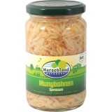 Muguri de fasole mung la borcan, eco