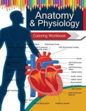 Anatomy &amp; Physiology Coloring Workbook Books