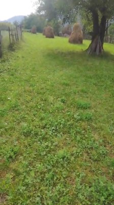 V&amp;acirc;nd teren intravilan foto