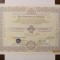 &quot;Actiune Nominativa 10000 lei Banca Internationala a Religiilor BIR 1998&quot; / RARA