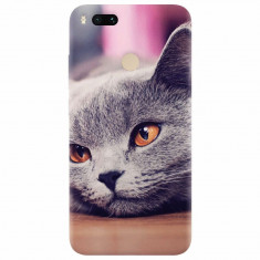 Husa silicon pentru Xiaomi Mi A1, British Shorthair Cat Yellow Eyes Portrait